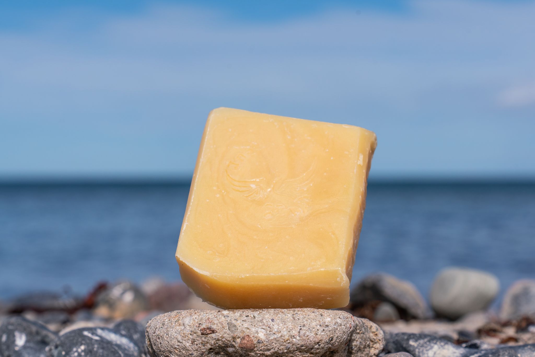 pEBKSROw Kreidesanddorn