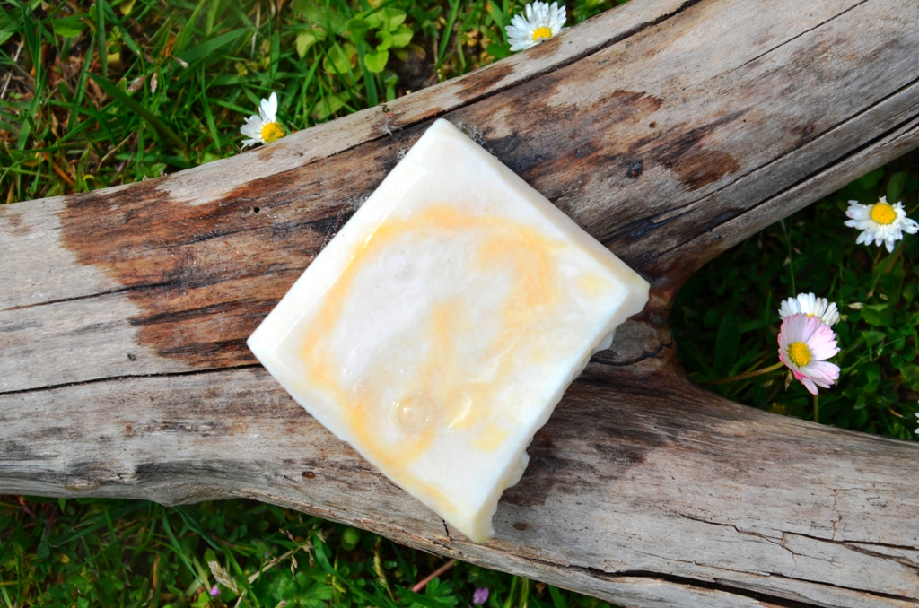 Milch-und-Sanndorn-nass